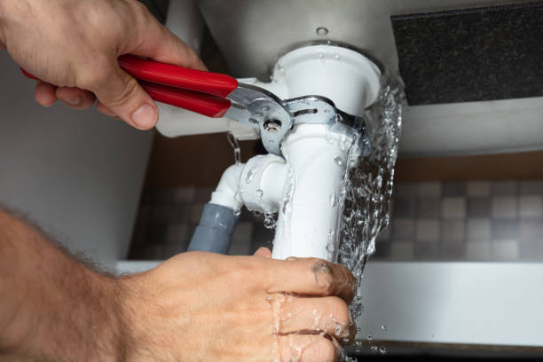 Best Basement water damage restoration  in Johnston, IA