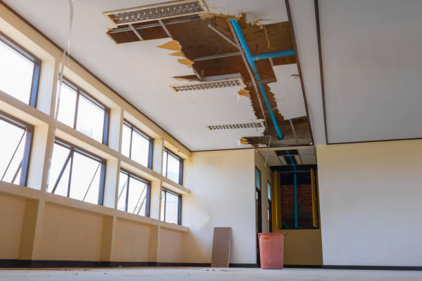 Best Sewage cleanup and water damage restoration  in Johnston, IA