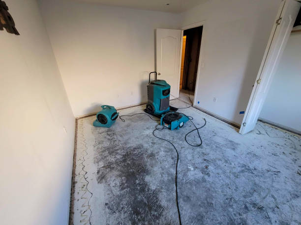 Best Water damage restoration near me  in Johnston, IA