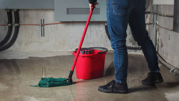 Best Residential water damage restoration  in Johnston, IA