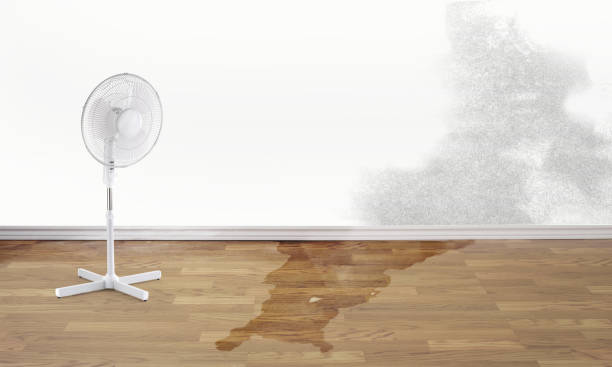 Best Flood restoration services  in Johnston, IA