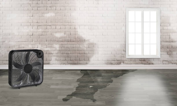 Best Emergency water damage restoration  in Johnston, IA