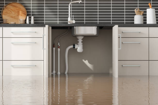 Best Water damage mitigation services  in Johnston, IA