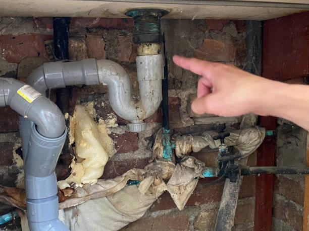 Best Professional water damage repair  in Johnston, IA