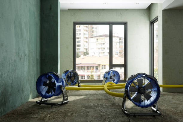 Best Water damage restoration mold remediation  in Johnston, IA