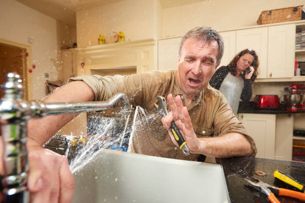 Best Carpet water damage restoration  in Johnston, IA